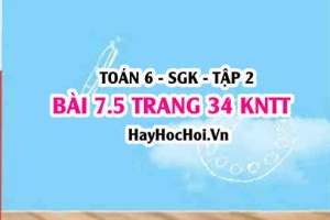 Bài 7.5 trang 34 Toán 6 Tập 2 Kết nối tri thức
